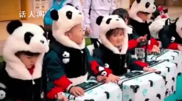 尔滨这回真的来熊猫了 网友：尔滨马上真的可以数熊猫了