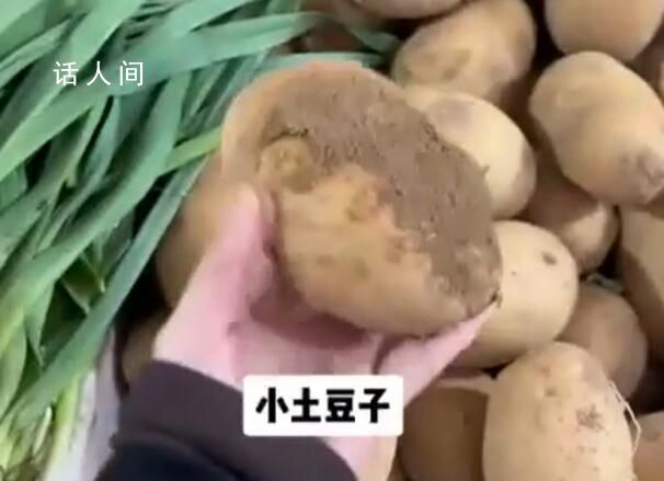 南方的土豆可削皮大葱按根卖 花菜还可以切半个卖