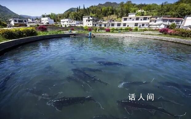 哈尔滨回礼时才知道川川有多陌生 让四川各地的网友忙成一片