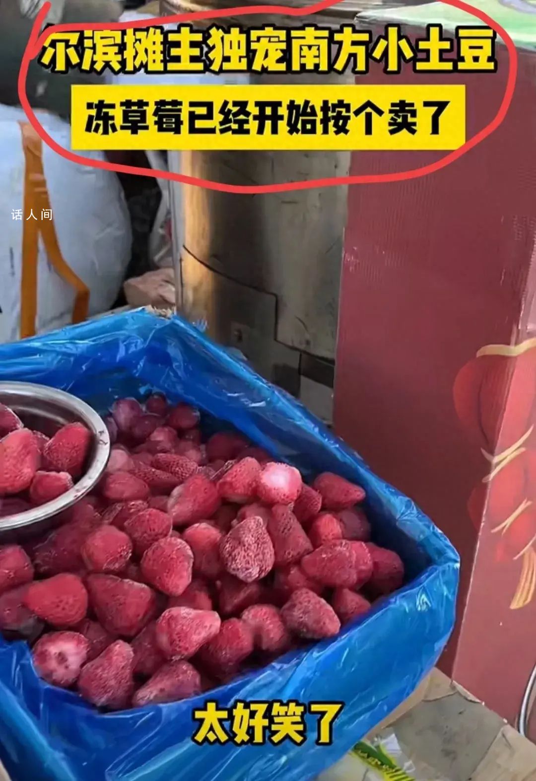 哈尔滨冻草莓都开始按个卖了 独宠南方小土豆