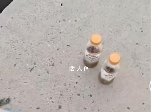 女子为净化海水丢瓶装液体 被视频发布者质疑污染海水
