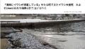 日本北海道海岸再现大量死鱼 回应：鱼群可能是为了逃避捕食而被冲上沙滩