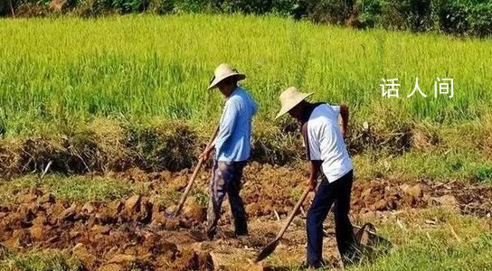 为什么年轻人不愿意种地?官方调研