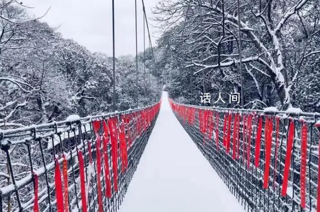 四川蒙顶山景区“一夜白头” 千亩茶园千年古树都已换上了银装