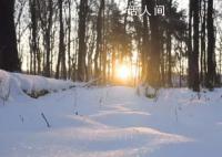 小伙玩雪次日失明确诊雪盲症 什么是雪盲症