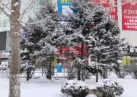 中国气象局启动三级应急响应 大范围雨雪冰冻天气今日开启