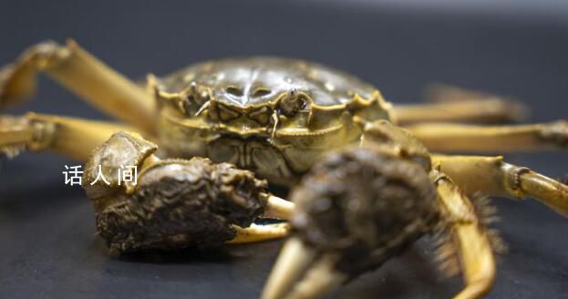比利时设陷阱诱捕300万只大闸蟹 为阻止河道被破坏