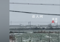 第一次见高铁10码速度缓慢行驶 当事人：这场雪都把高铁干成10码速度