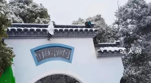 武汉暴雪两只孔雀被冻在墙顶 已成功救下孔雀状态良好
