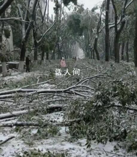 湖北人上班像丛林探险 一场突如其来的冻雨让湖北人变得举步维艰