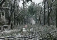 湖北人上班像丛林探险 一场突如其来的冻雨让湖北人变得举步维艰