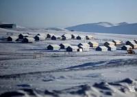 蒙古国进入防灾高度戒备状态 极寒冰雪天气已致蒙古国50多万头牲畜死亡