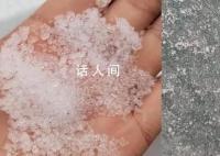 郑州下“大米粒”冰雹雨 清雪工作仍在紧张有序进行中