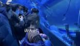 郑州潜水员溺亡海洋馆发布情况说明 已与家属妥善完成善后工作