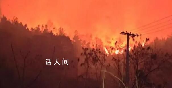 贵州山火五日:“无声”的万人救援