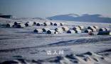蒙古国大雪覆盖全国八成土地 牲畜死亡数近日显著攀升