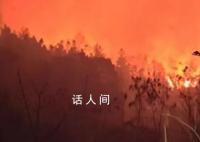 贵州山火五日:“无声”的万人救援