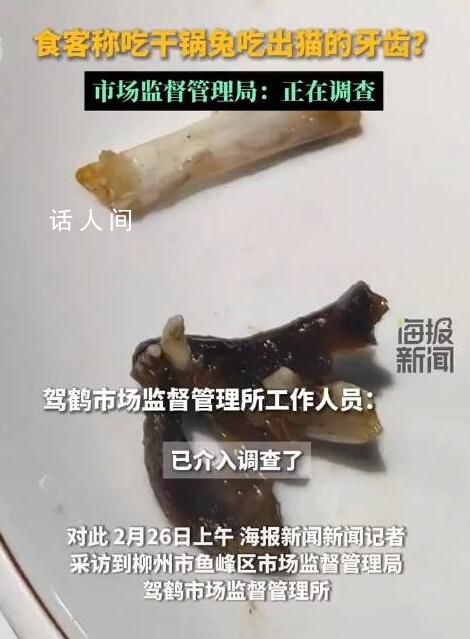 干锅兔吃出猫牙?市监局调查