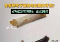 干锅兔吃出猫牙?市监局调查