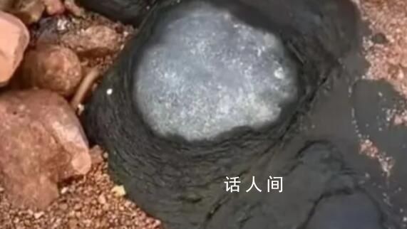 专家辟谣青岛三浴海边有火山蛋 这些石头是火成岩