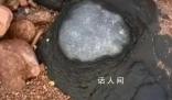 专家辟谣青岛三浴海边有火山蛋 这些石头是火成岩