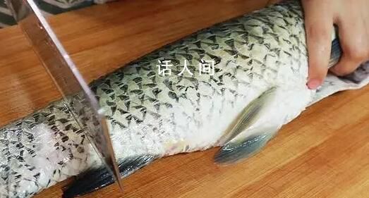 中国科学家研究出无刺草鱼 将极大地推动水产养殖业的发展