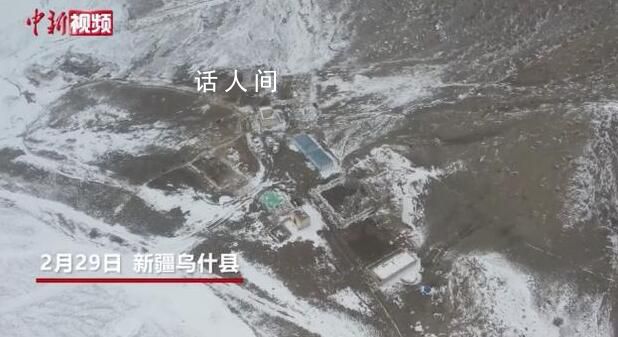 新疆乌什雪豹夜袭羊圈咬死40多只羊 雪豹被放归大山