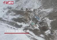 新疆乌什雪豹夜袭羊圈咬死40多只羊 雪豹被放归大山