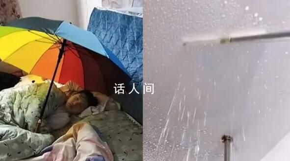 广东回南天孩子淡定撑伞睡觉 网友：这就是回南天