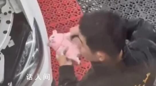 女子洗车竟被店员洗公仔擦鞋 提供的额外服务