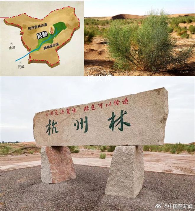 甘肃杭州林面积已大过西湖 腾格里沙漠种下的的西湖绿已有15000亩