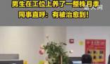 男生在工位上养了一整株月季 同事：有被治愈到