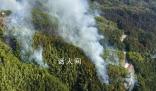 贵州多人因祭祀引发火灾被抓 警方通报6起森林火灾典型案例