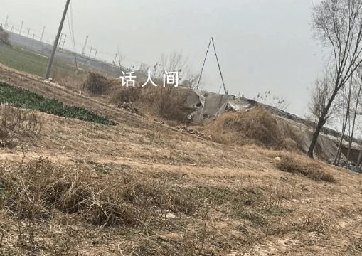 杀人埋尸的3名未成年最高判什么刑 最高可被判处无期徒刑