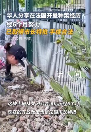 法国荒地被中国人开垦成菜园 曾经的荒地成为了小镇上的一道亮丽风景线